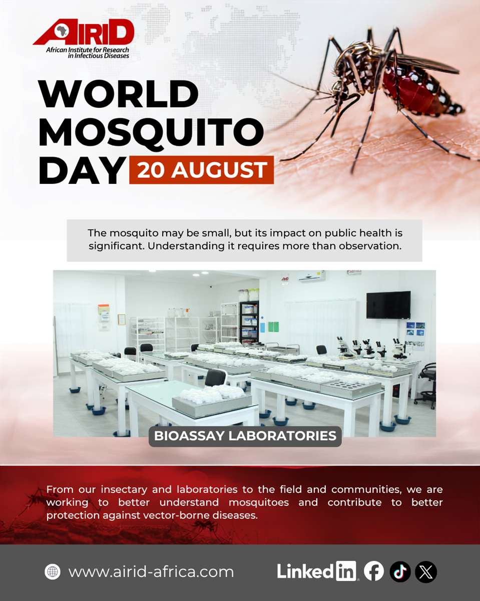 World Mosquito Day | 20 August — Photo 1